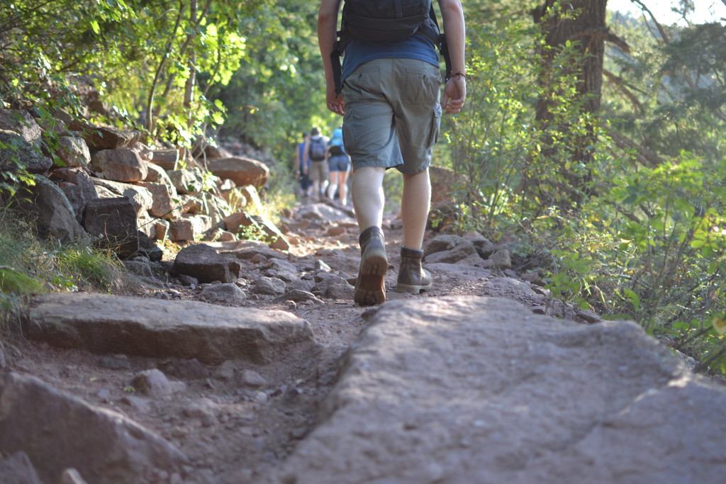 Rattle Snake Trail