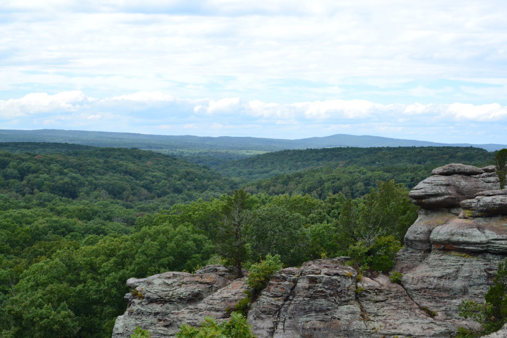 Blick auf den Shawnee National Forest
