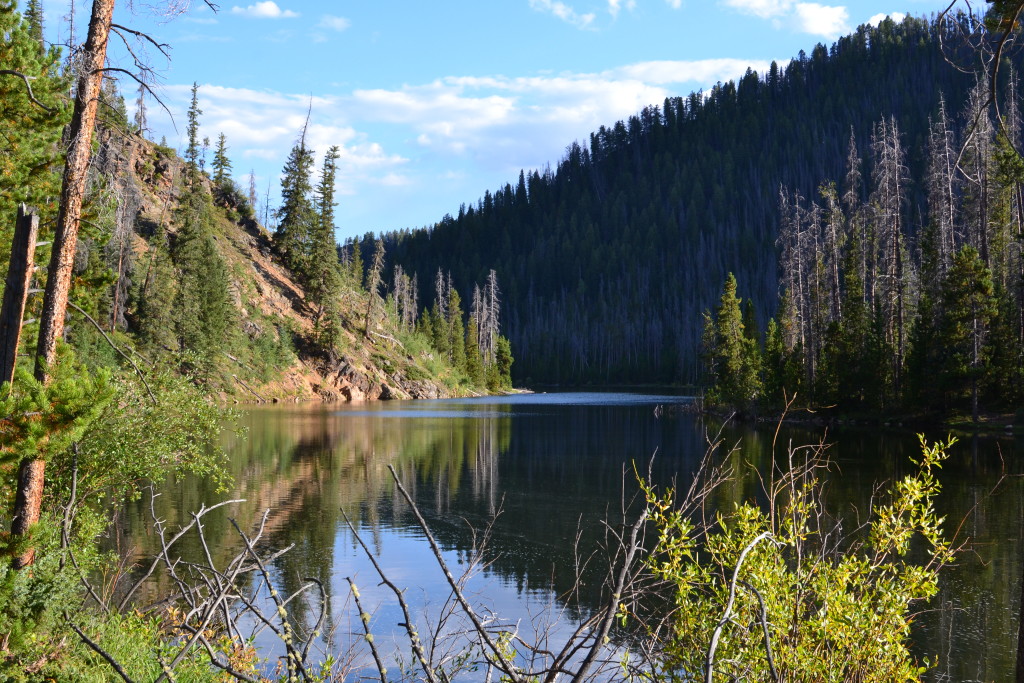 Badestelle im Colorado River