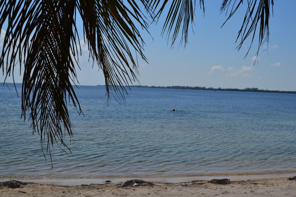 Playa Larga