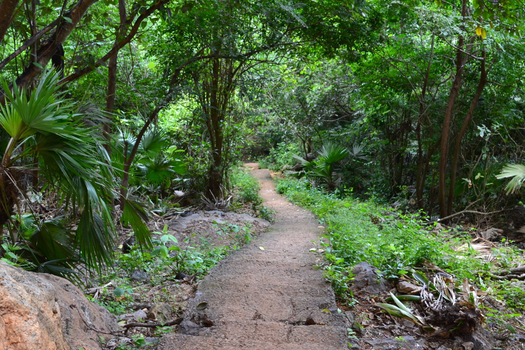Wanderung in Viñales