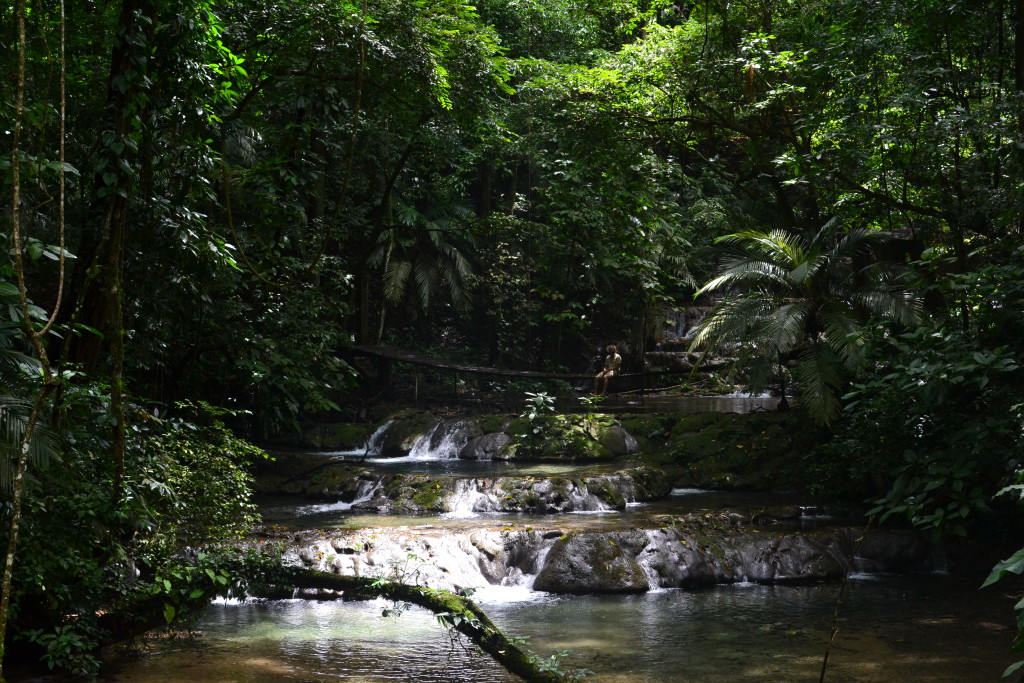 Dschungel in Palenque (Where is Peter?)