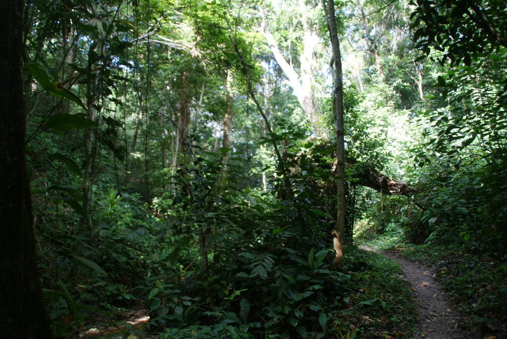 Ausflug zum Tayrona Nationalpark